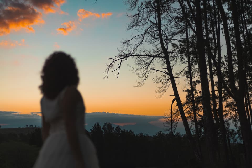 Silueta de Fabiola Soto desenfocada frente a un cielo naranja al atardecer, entre los árboles